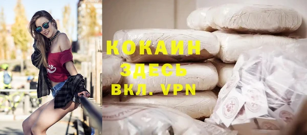 гашик Дмитриев