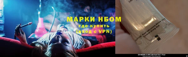 гашик Дмитриев