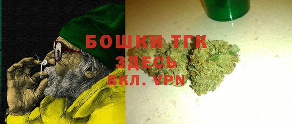 гашик Дмитриев