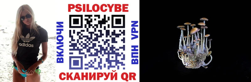 Псилоцибиновые грибы Psilocybe Купить где Артёмовск